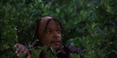 poster de la série Che veux que ça repousse