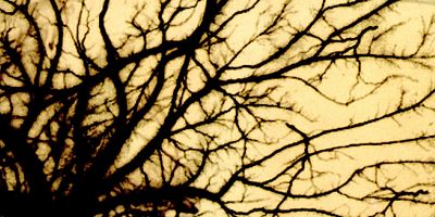 poster de la série Menahem – Dimanche, 7h