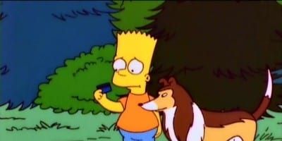 poster de la série Un chien de ma chienne