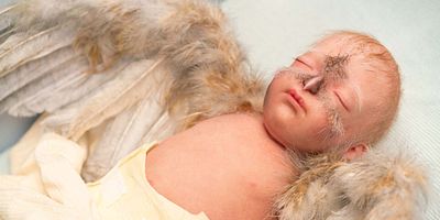 poster de la série Quitter les bois