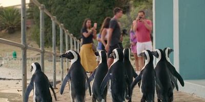 poster de la série Le rush du week-end