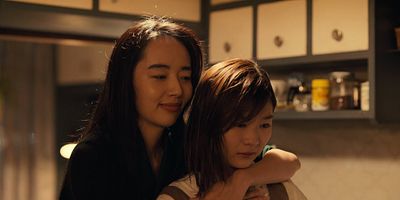 poster de la série La chute