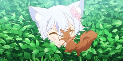 poster de la série La sauce gratitude