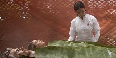 poster de la série Vice versa