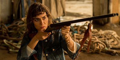 poster de la série Un voyage