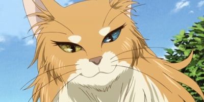 poster de la série Everything must have a beginning