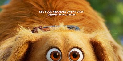 poster de la série Ecureuil !