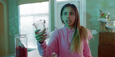 poster de la série Wesley et Stuart Fischman