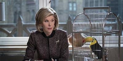 poster de la série Le gang est satirisé et n’aime pas ça