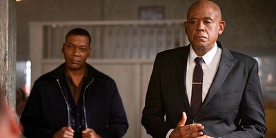 poster de la série Piquer comme une abeille