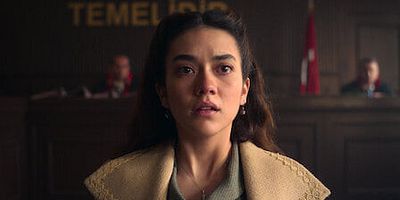 poster de la série 1a