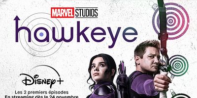 poster de la série Ne jamais rencontre ses héros