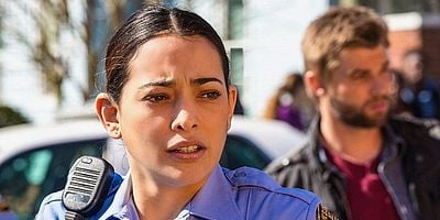 poster de la série Le grand feu