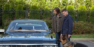 poster de la série Un après-midi de chien