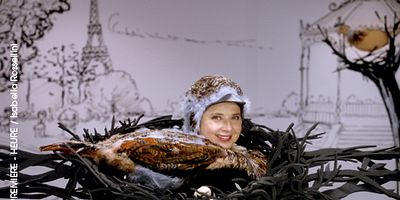 poster de la série Le passereau