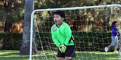 poster de la série Cold File