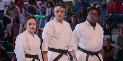 poster de la série La chute