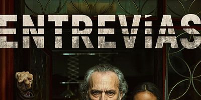 poster de la série Un bâton dans le nid de frelons