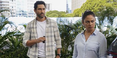 poster de la série Le cri d'une lionne