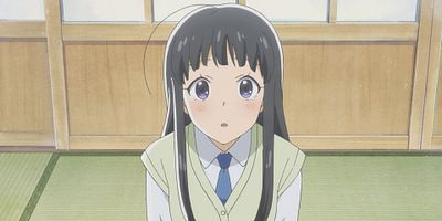 poster de la série Échos dans les hortensias