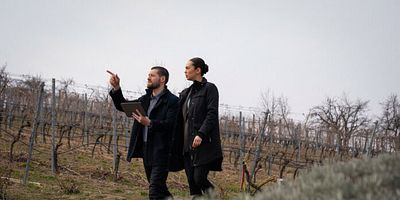 poster de la série Le sang de la vigne