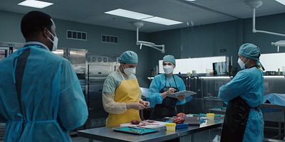 poster de la série Vermine