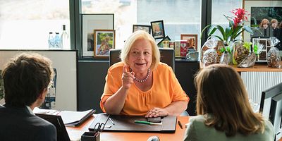 poster de la série Les pingouins