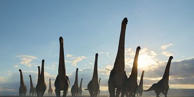 poster de la série Les déserts