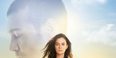 poster de la série 
