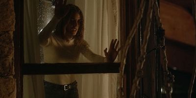 poster de la série El hayedo