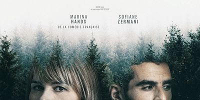 poster de la série 