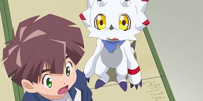 poster de la série Île infectée