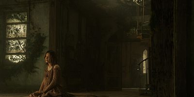 poster de la série Méfie-toi des loups