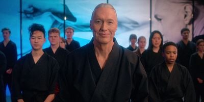 poster de la série Loin de la maison