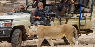 poster de la série L’Île aux requins