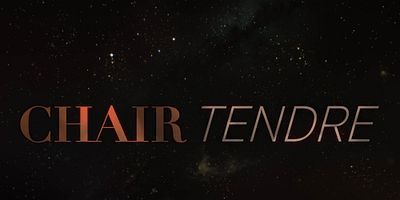 poster de la série La princesse des ténèbres