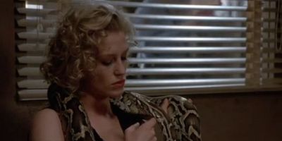 poster de la série La dame aux serpents