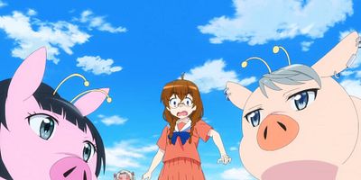 poster de la série La surprise