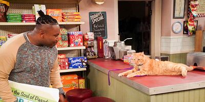 poster de la série Welcome to What Used to Be the Neighborhood