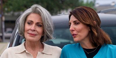 poster de la série Le coup de la Hyène