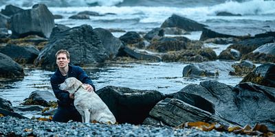 poster de la série Les survivants