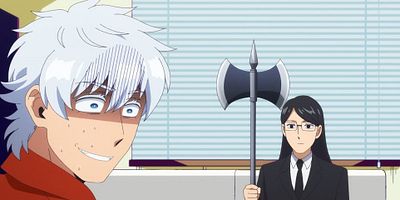 poster de la série La Saga du frère