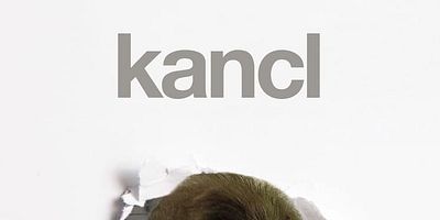 poster de la série 