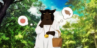 poster de la série Le chat à tout faire a bien des tracas