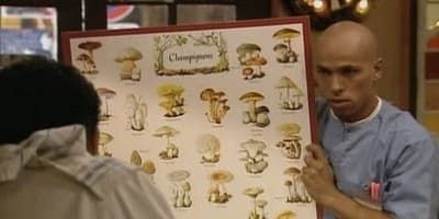 poster de la série Une histoire de champignons