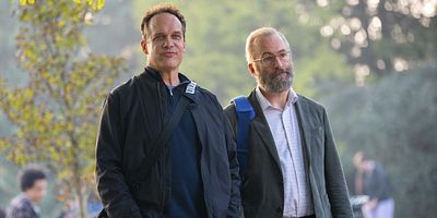 poster de la série Le boxeur d'oies