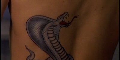 poster de la série La malédiction du cobra