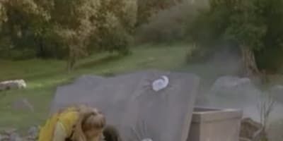 poster de la série La vengeance de Zen-Aku