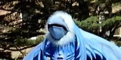 poster de la série Le coup de folie de Jenji