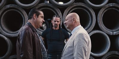 poster de la série Vive le roi